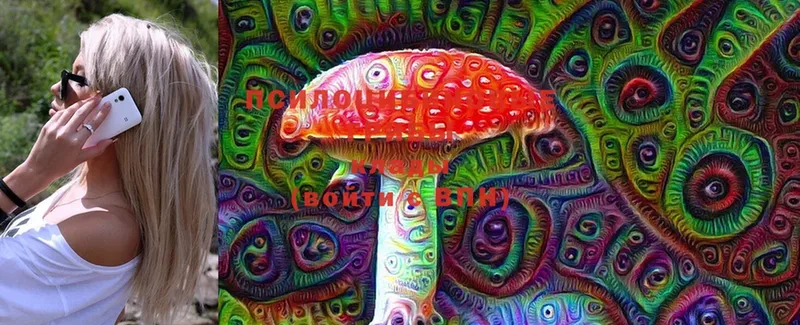 наркошоп  Тюкалинск  Галлюциногенные грибы Magic Shrooms 